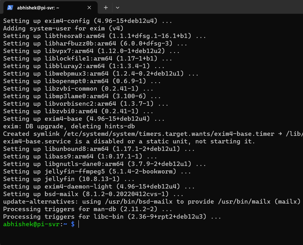 Setting up Jellyfin Media Server on Raspberry Pi Australian Alumni