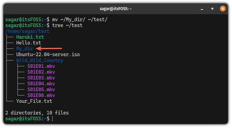 Move directory in Linux using the mv command